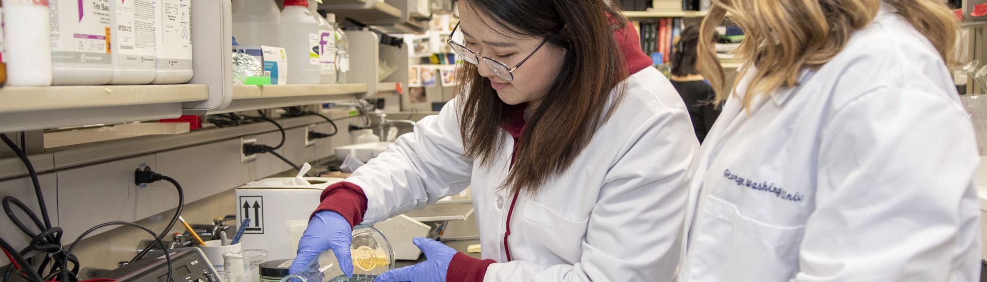 students working in a lab